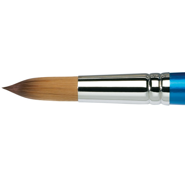 COTMAN 111 NO 24