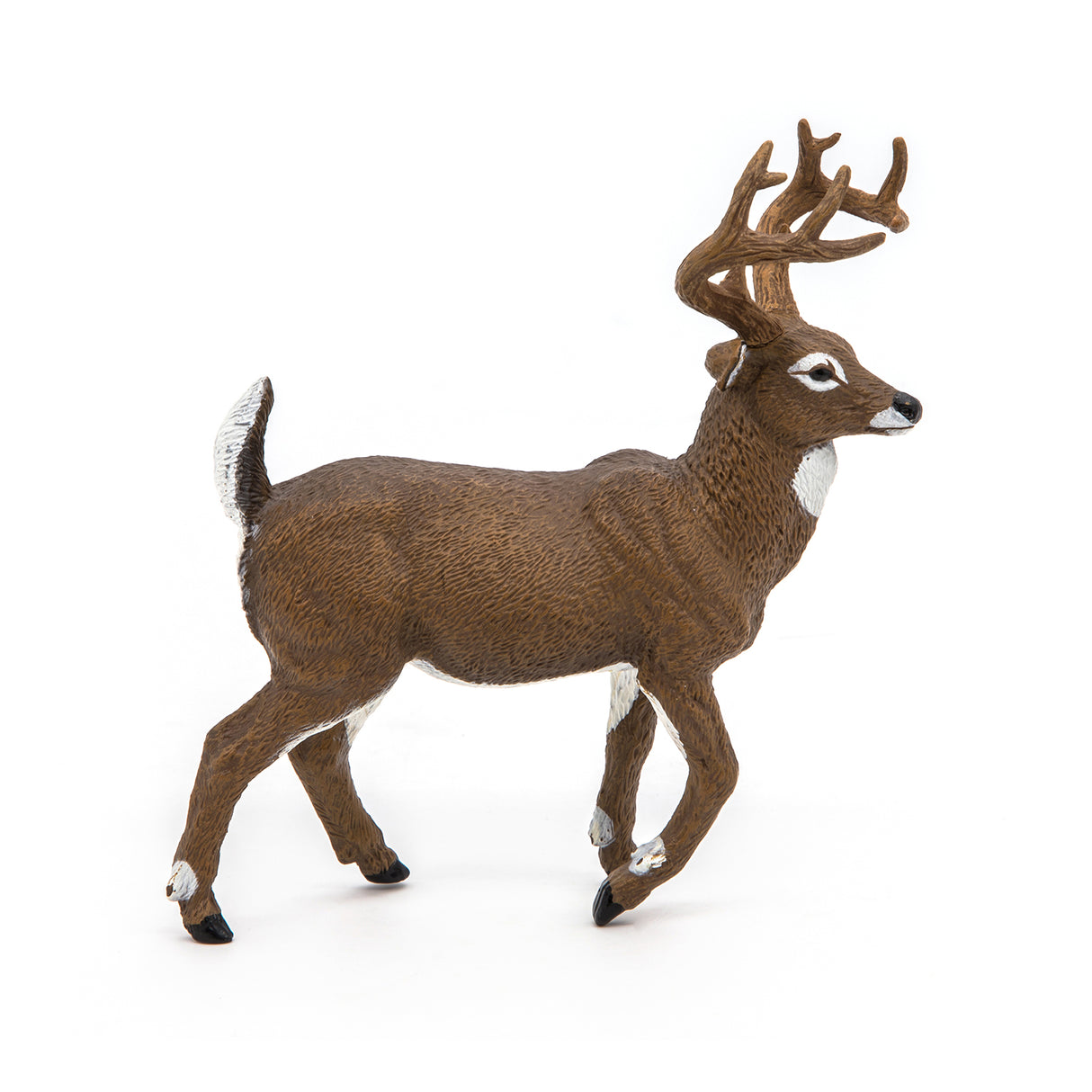 White-Tailed Deer