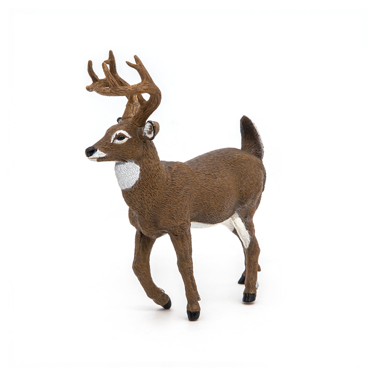 White-Tailed Deer