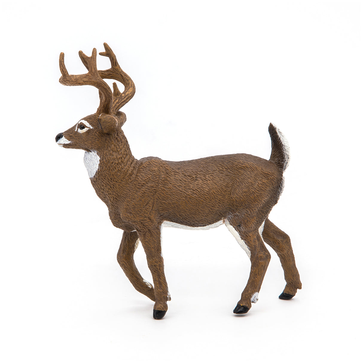 White-Tailed Deer