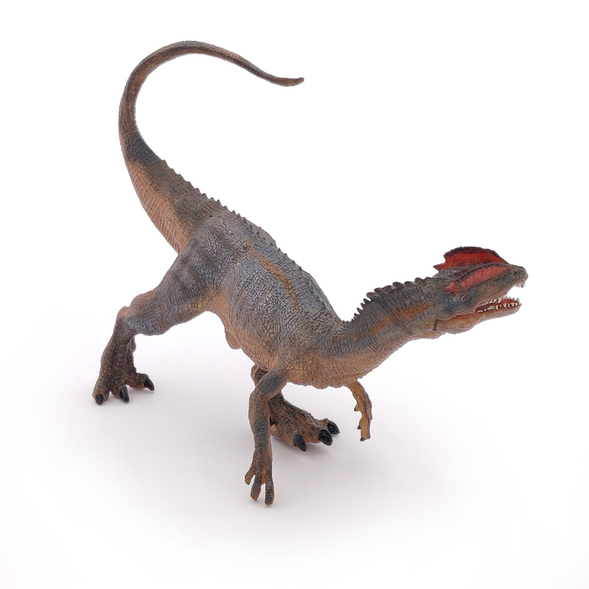 Papo Dilophosaurus
