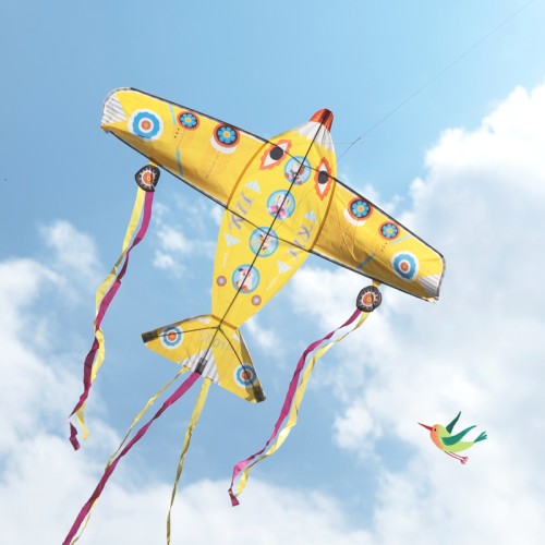 Djeco Kite Maxi Plane