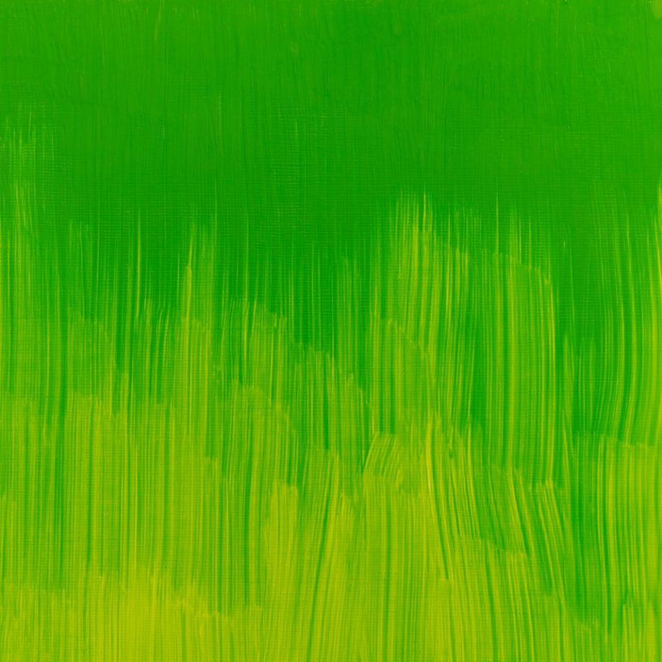Winton Oil Colour Phthalo Yellow Green 200ml
