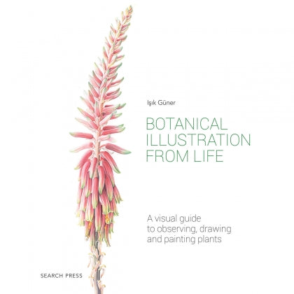 Sp - Botanical Illustration From Life