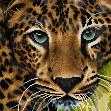 Leopard Framed Crystal Art Kit