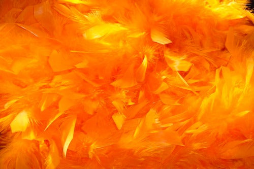 Feathers - Orange (200)