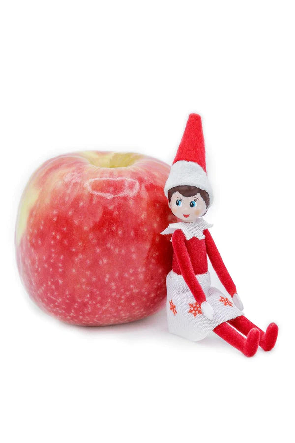 Elf on the Shelf World’s Smallest Elf on the Shelf Girl