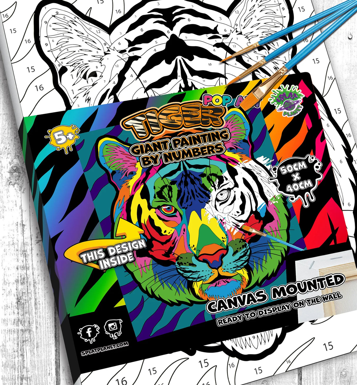 Tiger Jungle Paint By Numbers