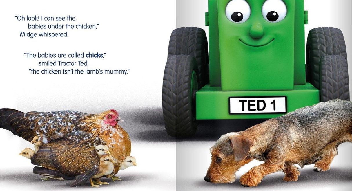 Tractor Ted Book-Little Lost Lamb