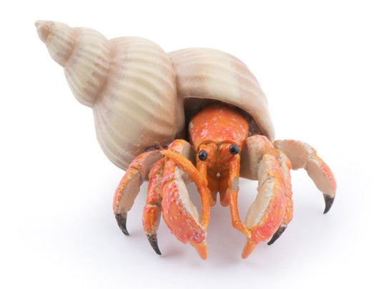 Papo Hermit Crab