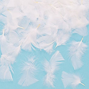 White Feathers (Bag of 20 grams - approx 130 feath
