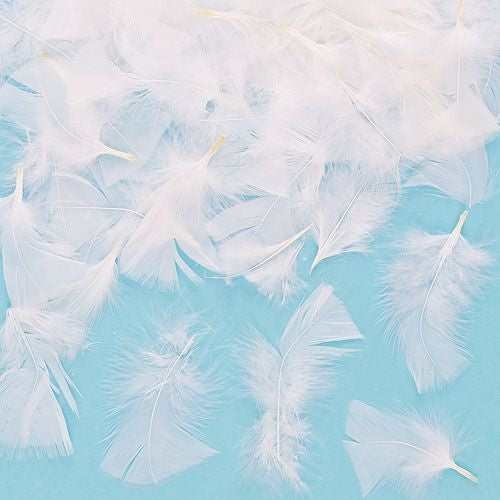 White Feathers (Bag of 20 grams - approx 130 feath