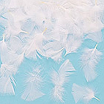 White Feathers Pack Of 200