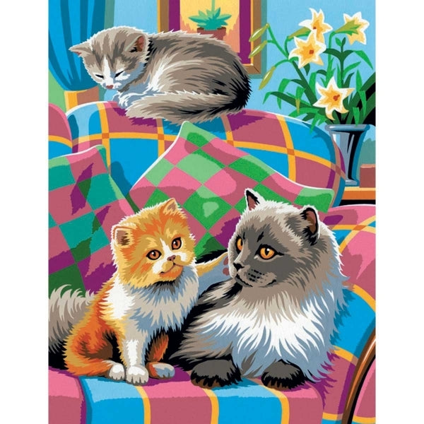 Paint By Numbers Medium - Cats Twin Pack