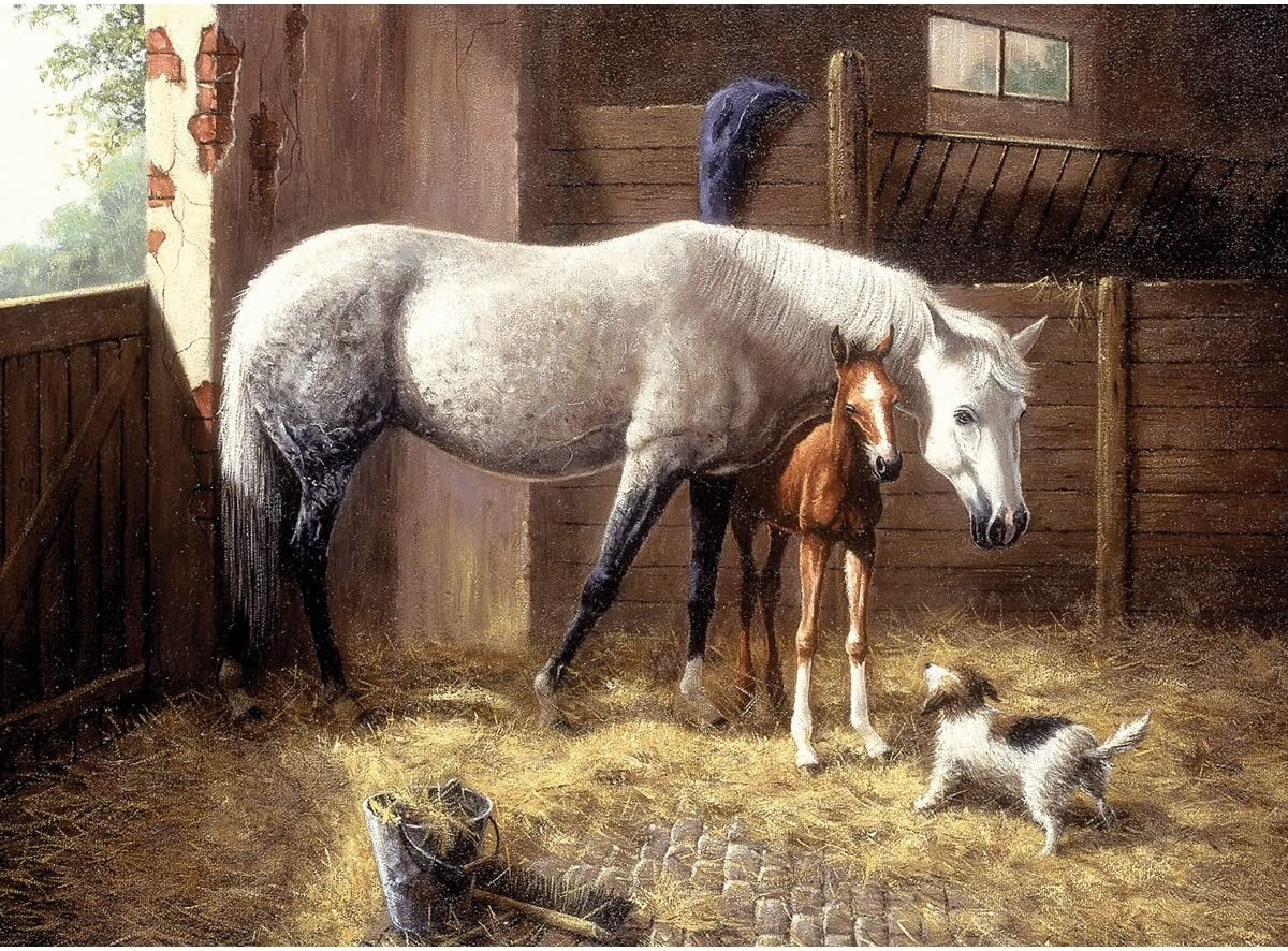 Paint By Numbers Adult Large New Friends