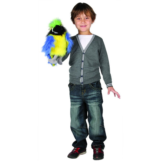 Puppet Baby Birds: Blue & Gold Macaw