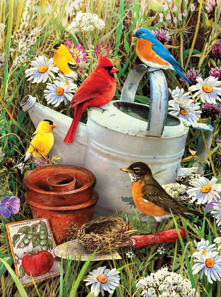 Paint By Numbers Junior Small Large - Garden Birds