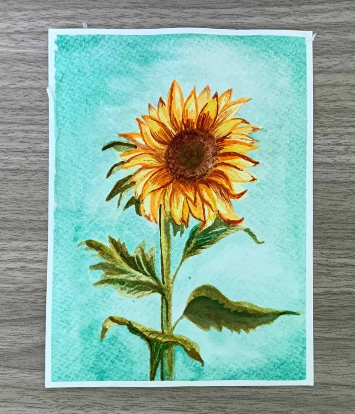 How to Paint a Sunflower with Watercolour Paints