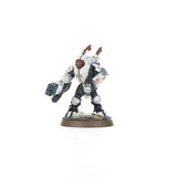 Warhammer 40,000 - T'au Empire: Stealth Battlesuits