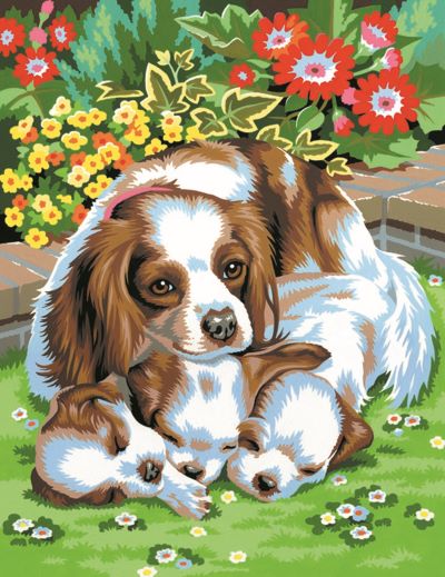 Paint By Numbers Medium - Dogs Twin Pack
