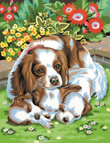 Paint By Numbers Medium - Dogs Twin Pack