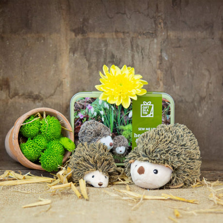 Gift in a Tin - Sew Me Up: Hedgehog & Hoglet