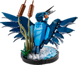 Lego Icons Kingfisher Bird Set 
