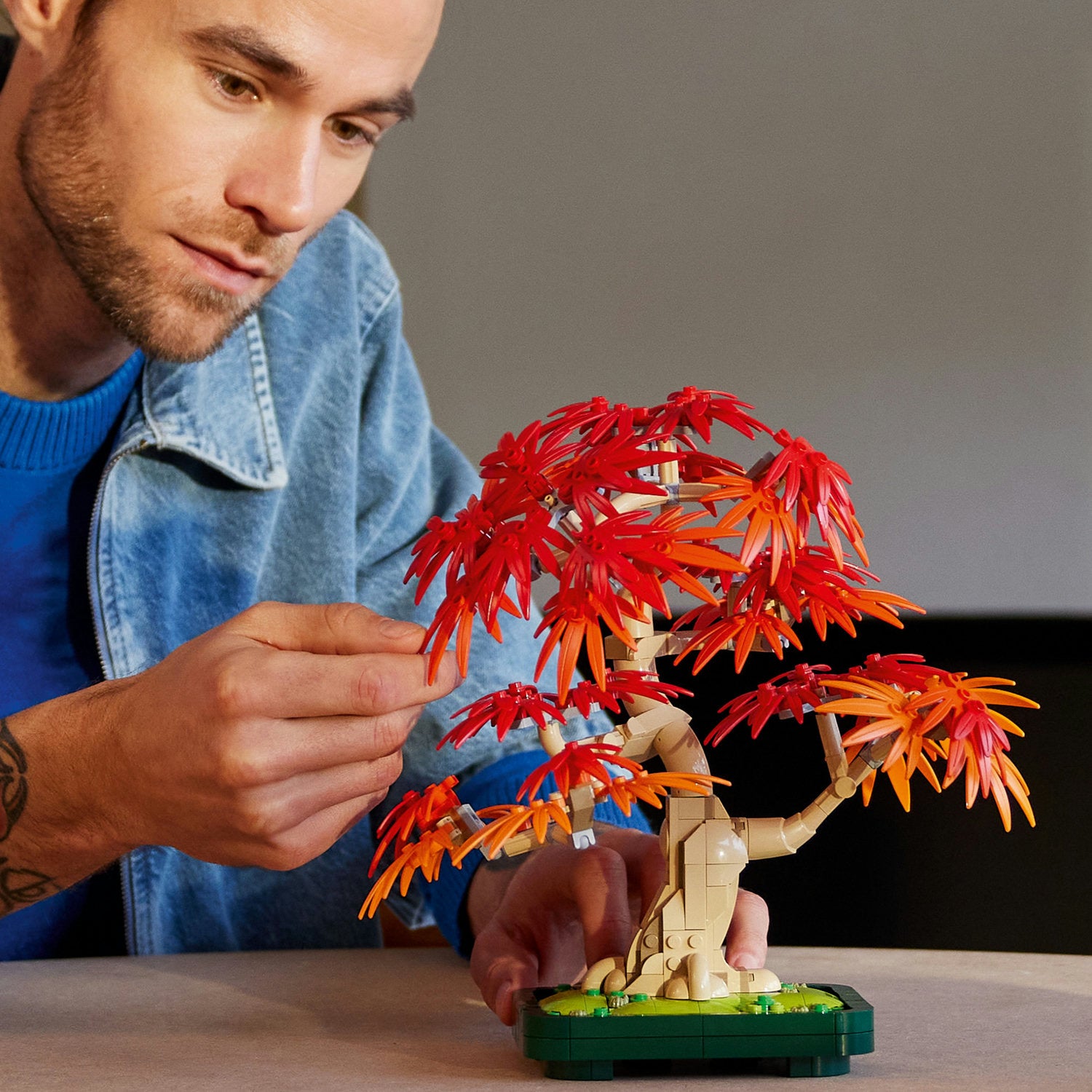 Lego Botanicals - Japanese Red Maple Bonsai Tree – Art & Hobby