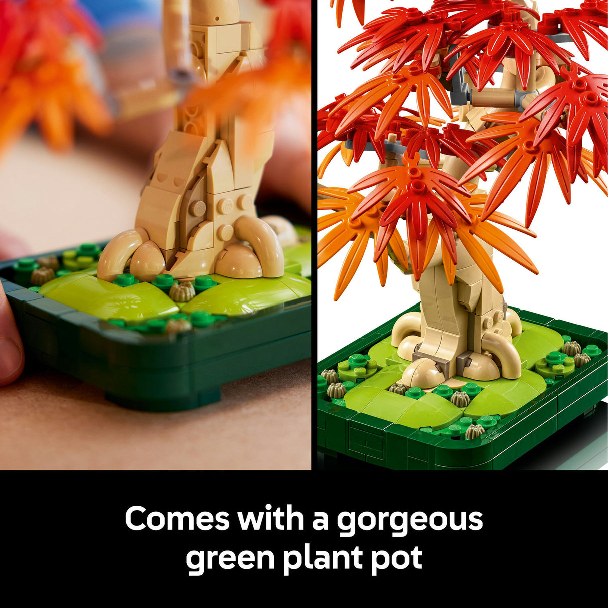 Lego Botanicals - Japanese Red Maple Bonsai Tree