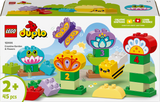 Lego Duplo - Creative Garden & Flowers