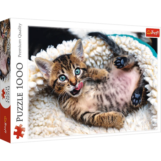 1000 Pc Puzzle - Cheerful Kitten