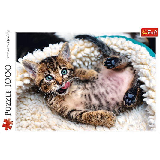 1000 Pc Puzzle - Cheerful Kitten