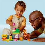 Lego Duplo - Disney Winnie the Pooh's Birthday Party