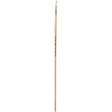 Nature Line Brushes