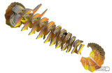EUGY 108 Frilled Lizard - 3D Model Kit
