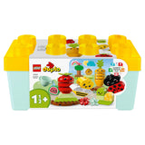 Lego Duplo Organic Garden