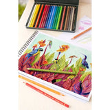 Faber-Castell Polychromo Colour Pencils