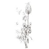 Faber-Castell 9000 Jumbo Graphite Pencil (Tin Of 5)