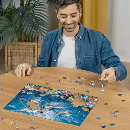 500 Piece Jigsaw Puzzle - Dolphins