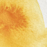 Professional Watercolour Series 4 Half Pan - Cadmium Yellow Deep