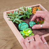 OKTO Wood & Clay Craft DIY - Succulents Energy