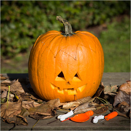 Pumpkin Carving Kit