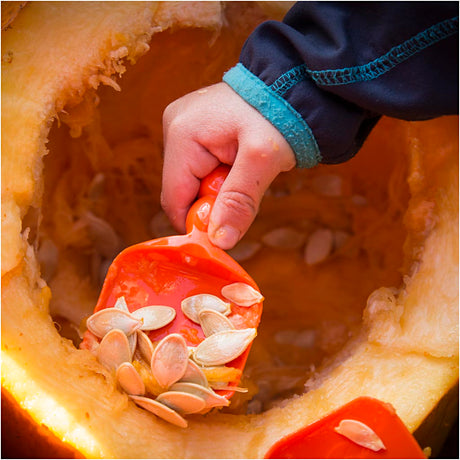 Pumpkin Carving Kit