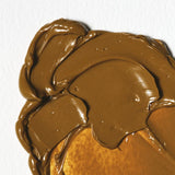 Winton Oil Colour 37ml - Raw Sienna