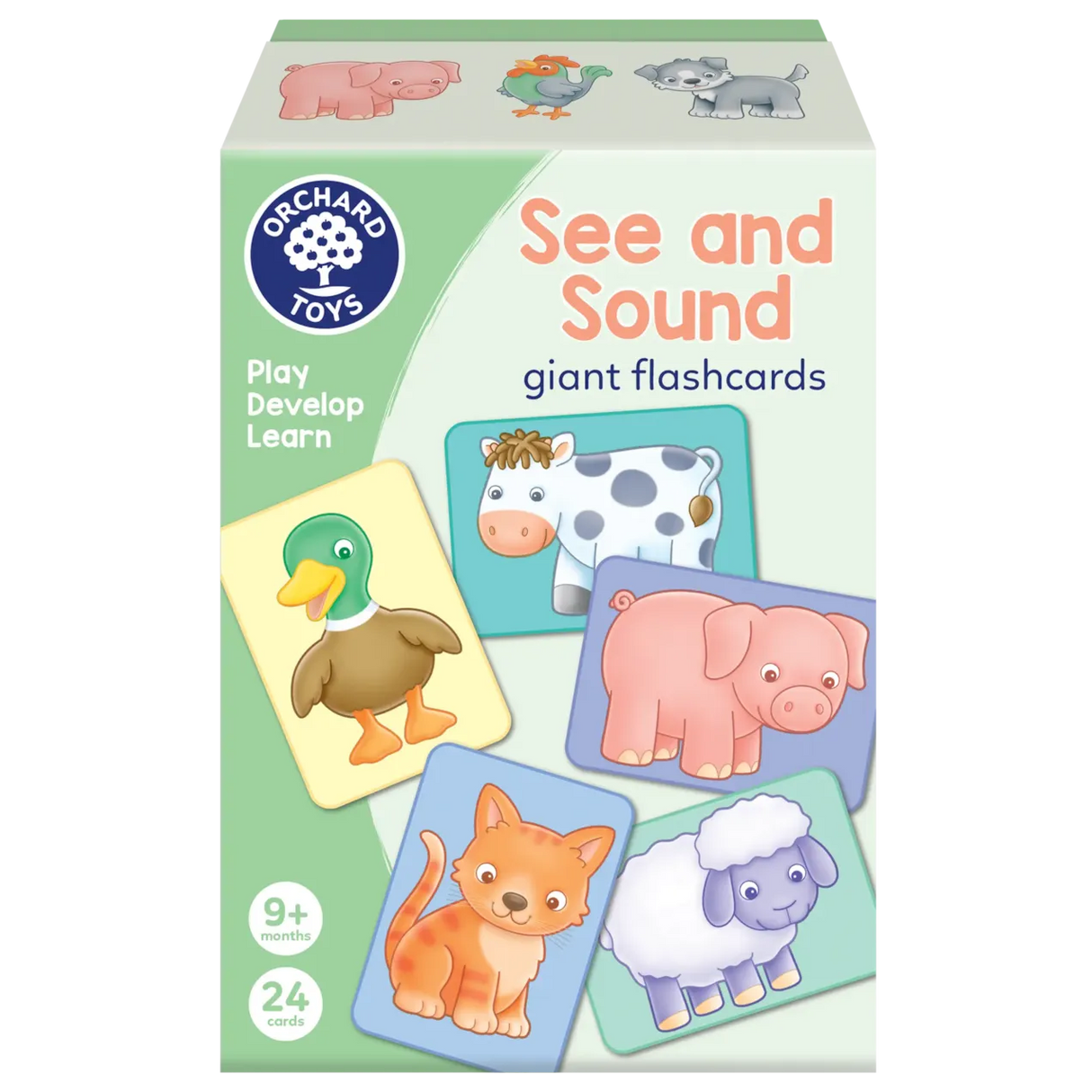 Orchard Toys See and Sound Giant Flashcards