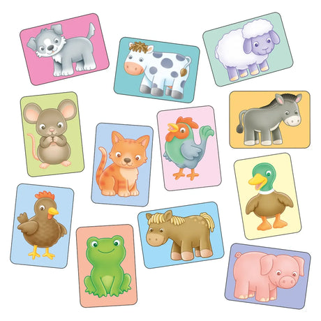 Orchard Toys See and Sound Giant Flashcards