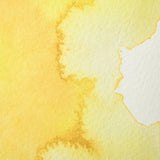 Winsor & Newton Professional Watercolour Half Pan - Aureolin Hue (S2)