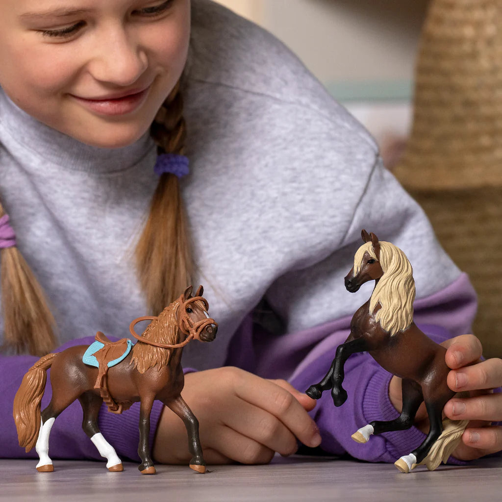 Schleich Horse Club - Paso Peruano Starter Set