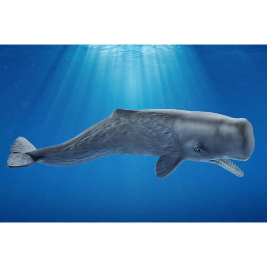 Schleich Wild Life Sperm Whale