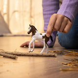 Schleich Horse Club - Paint Horse Foal